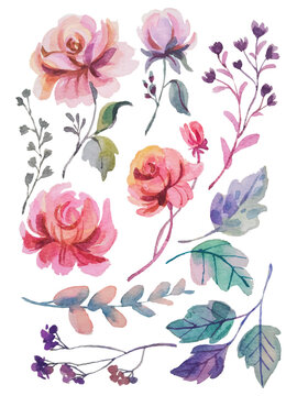 watercolor flower elements hand draw © ian2201