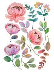 watercolor flower elements hand draw