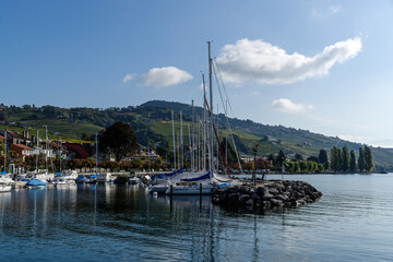 Fototapeta na wymiar Voiliers à quai dans le port de Lutry en Suisse