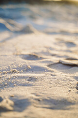 Footsteps in Florida Beach Sand