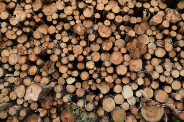 stack of wood