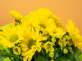 Bouquet of yellow daisies on an orange background. Yellow flowers.