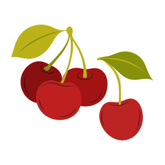 Red ripe cherry. Summer cherry fruit on a white background.
