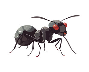 Small ant isolated on white background