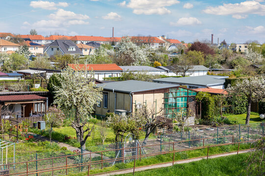 Many traditional german small garden allotment area with huts, tree flower vegetable growing at warm sunny summer day. Schrebergarten typical kleingarten community at city in Germany