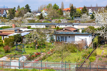 Many traditional german small garden allotment area with huts, tree flower vegetable growing at warm sunny summer day. Schrebergarten typical kleingarten community at city in Germany