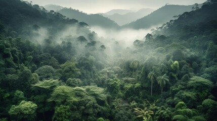 Misty jungle rainforest from above in the morning. Tropical forest with sun rays and fog. Aerial view. Nature landscape wallpaper background, Generative AI