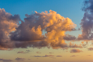 Fototapeta premium Fluffy cumulus clouds in the sky lit by the sun at sunset or dawn. Landscape in the golden hour, morning or evening, winter or summer. Blue and yellow gradient in the sky.
