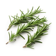 Fototapeta premium Fresh green organic rosemary leaves and pepper isolated on white background. natural transparent shadow, Ingredient, spice for cooking. collection for design, generate ai