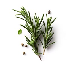 Fresh green organic rosemary leaves and pepper isolated on white background. natural transparent shadow, Ingredient, spice for cooking. collection for design, generate ai