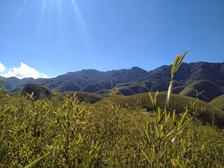 Green grass and clear sky mountain 