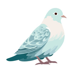 Cute pigeon perching on white backdrop