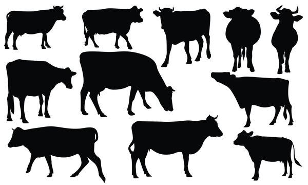 Large Collection of black Cow silhouettes in different poses