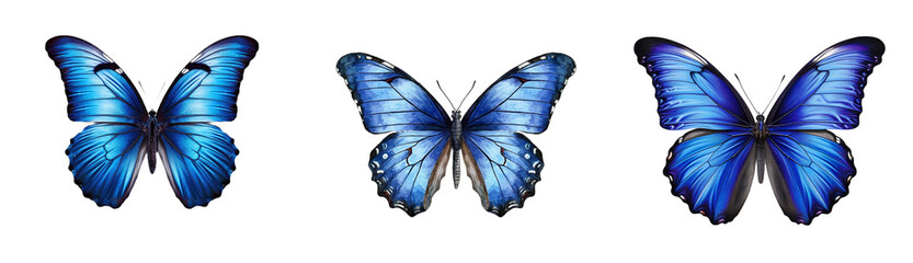 Set of blue butterfly isolated on white and transparent background. Generative AI
