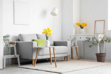 Interior of living room with grey sofa and blossoming narcissus flowers on coffee table