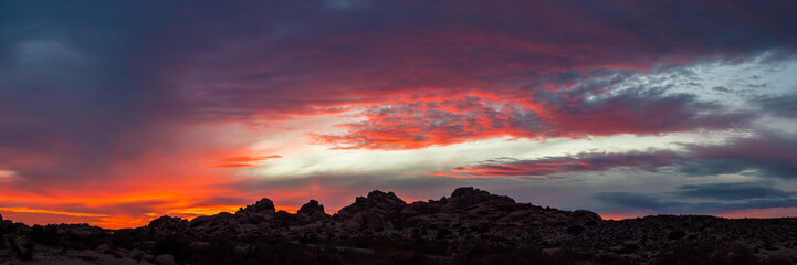 Panoramic view of Joshua Tree National Park with bright pink, purple, red, orange sunset skies with dark silhouette of rocks, trees landscape in fall, autumn. 
