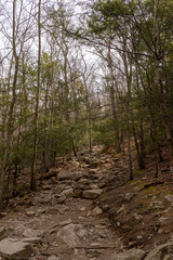 This walking path is kind of tricky as it runs through the evergreens here in the woods. The rocks are kind of treacherous. This path reaches the top of the ridge here at the Delaware Water Gap.
