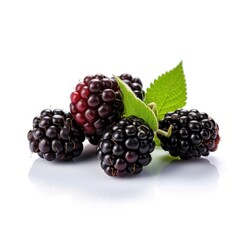 Blackberries isolated on white background (generative AI)