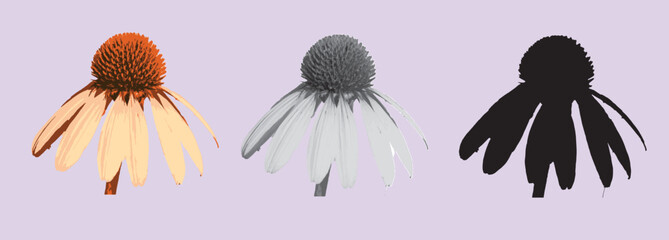 Beautiful open flower petals illustration in 4 different styles, Graphic resources set, free vector illustration EPS