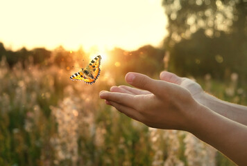 flying butterfly and human hands on abstract sunny natural background. freedom, save wild nature,...