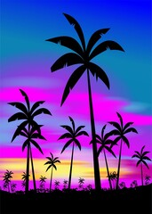Fototapeta na wymiar palm trees on the sunset