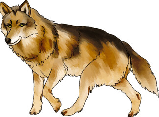 Wolf watercolor illustration