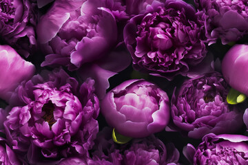 Floral purple peonies seamless pattern. Template for fabrics, textiles, paper, wallpaper, interior decoration. Generative AI illustration