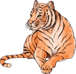 Tiger watercolor illustration