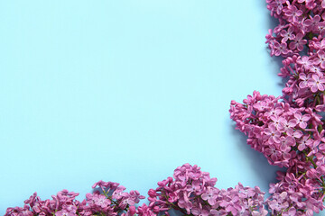 Frame made of beautiful blooming lilac flowers on blue background
