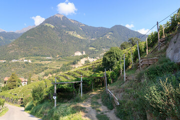 Fototapeta na wymiar Panorama view of mountain Mutspitze, vineyards and Tyrol Castle in Tirol, South Tyrol, Italy