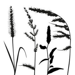 vector set of dry grass silhouette sketch for card design, wallpaper, textile, fabric pattern on white background