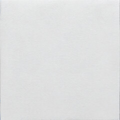 Fototapeta premium white canvas texture
