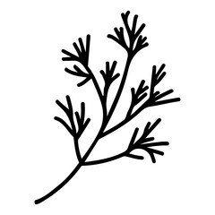 Hand drawn line art of simple branch in doodle style