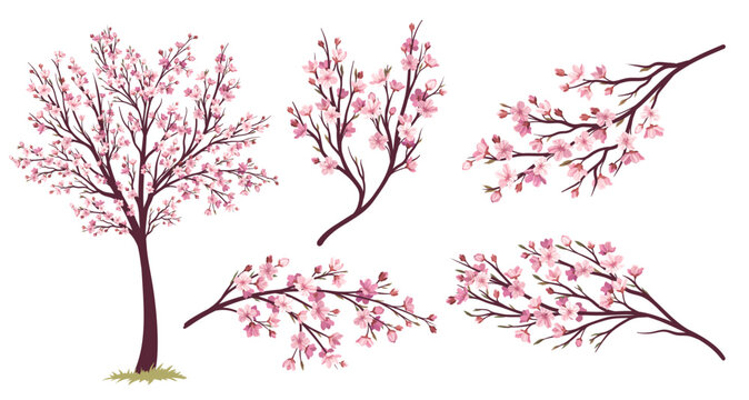 Sakura tree set. Icons with flowering Japanese plant. Bloom, plant, spring concept. Branch with blooming beautiful pink cherry petals. Cartoon flat vector collection isolated on white background