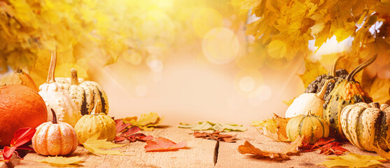 A rustic autumn still life