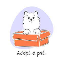Pet adoption. Cute cat in a box. Shelter banner. Vector illustration