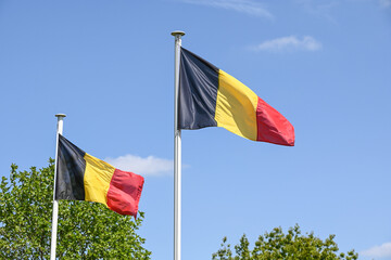 Belgique belge drapeau pays vert environnement ecologie