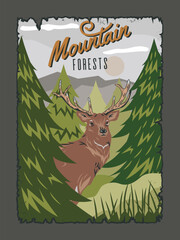 Poster with deer in forest. Summer landscape with herbivore, green pines and trees. Mountains, scenery, wildlife. Mammal with horns lives in national park reserve. Cartoon flat vector illustration