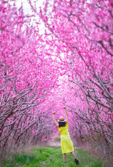 Woman wearing yellow dress and a hat in a blooming field with pink peach trees in spring time season.
