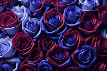 Red and blue roses background, bunch of roses, red roses