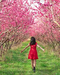 Beautiful woman with black hair wearing red dress among flowering peach trees in nature at spring.
