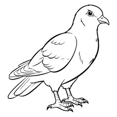 Coloring page pigeon