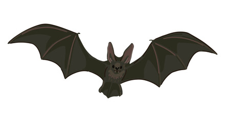 Flying bat clipart isolated on white. Cartoon style drawing of nocturnal wild animal. Halloween creepy fauna modern vector illustration.