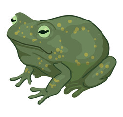 Frog clipart isolated on white. Cartoon style drawing of amphibian wild animal. Halloween creepy fauna modern vector illustration.