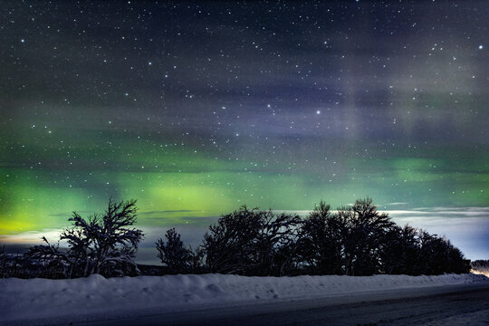 Green polar aurora borealis on the night purple sky and against the background of trees, roads, snow in winter