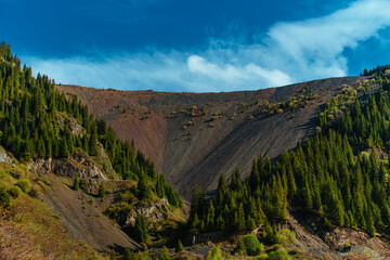 Picturesque mountain landscape with fir trees
