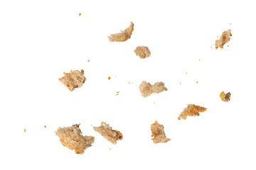 Crumbs of fresh whole grain bread isolated on white background. Isolate crumbs of different sizes...