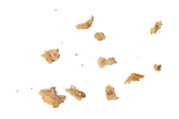 Crumbs of fresh whole grain bread isolated on white background. Isolate crumbs of different sizes for insertion into a design or project.