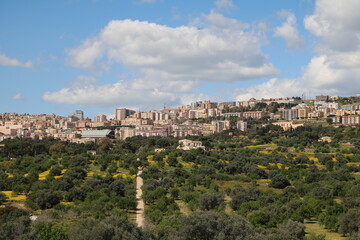 Fototapeta na wymiar Green landscape around Agrigento in spring, Sicily Italy