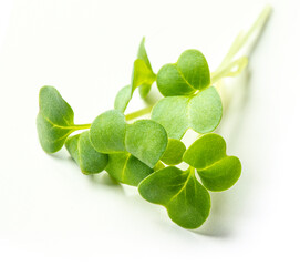 Broccoli sprouts on white background, close up . Microgreen superfood, vegan and healthy eating concept.
